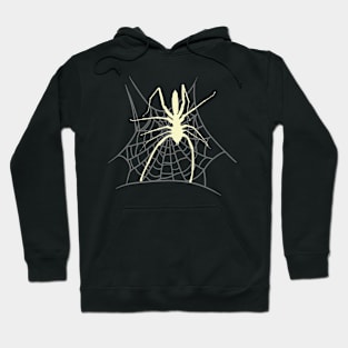 Spider Spider Web Grusel Halloween Animals Hoodie